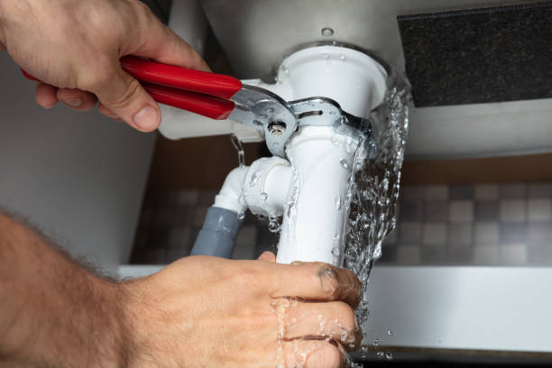 Best Sewage cleanup and water damage restoration  in Evergreen Park, IL
