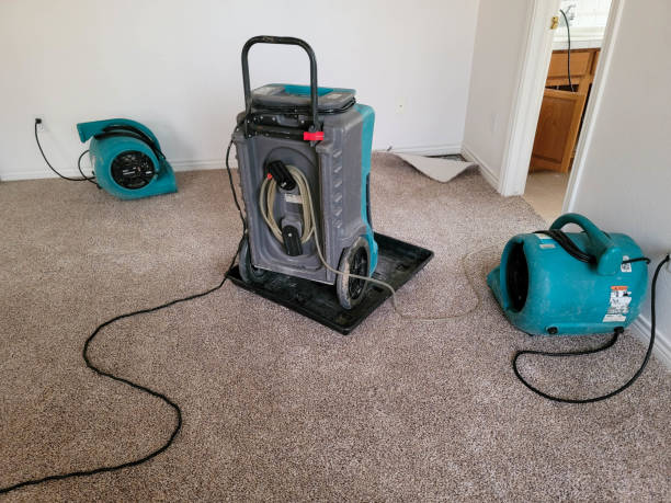 Trusted Evergreen Park, IL Water damage restoration Experts