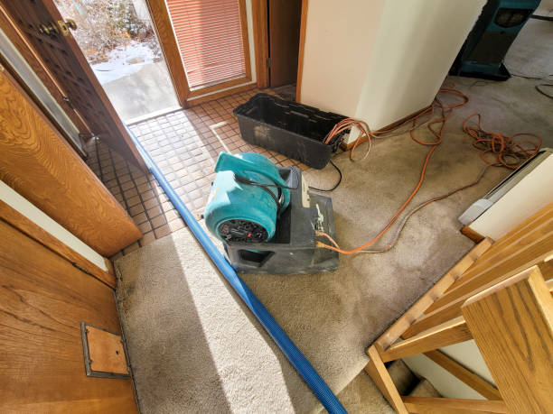 Local water damage restoration in Evergreen Park, IL