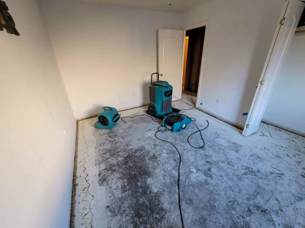Best Flood damage cleanup  in Evergreen Park, IL