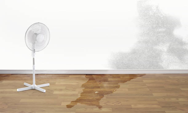 Best 24-hour water damage restoration  in Evergreen Park, IL