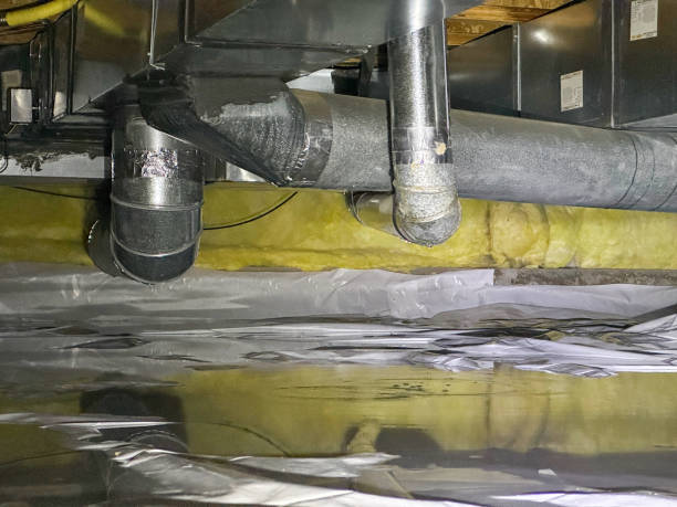 Best Water damage contractors near me  in Evergreen Park, IL