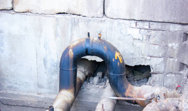 Best Flood restoration services  in Evergreen Park, IL