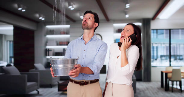 Best Water damage restoration near me  in Evergreen Park, IL